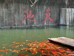 -千岛湖东南湖区