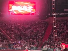 -俄罗斯国家大马戏团