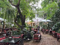 -Fern Forest Cafe
