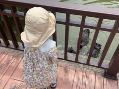 -厦门悦华酒店