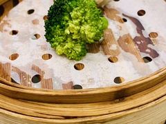-坚记酒家·佛山老字号·顺德鱼生标准示范店