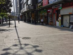-百果园PAGODA(岭秀城店)