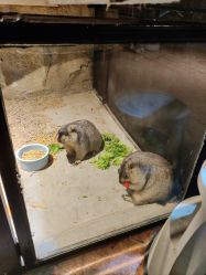 -酷嗒动物文化乐园(cutezoo西溪乐天城店)