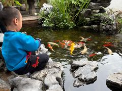 -道南書院·私房菜·早午茶·茶馆