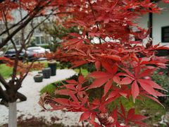 -常州花鸟园酒店(西太湖品牌优选店)