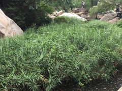 -碓臼峪自然风景区