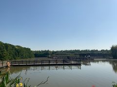 -大湾区中央湿地公园