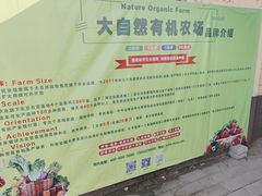 -大自然农场蔬菜草莓采摘园
