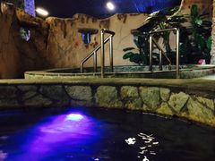 -泉城欧乐堡戏水湾艺术养生温泉