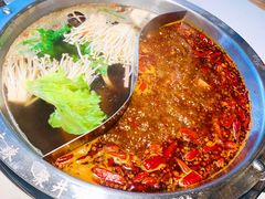 麻辣锅底菌汤锅底-井格重庆火锅(友谊路新业广场店)