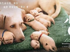 -CGV星星影城(颐堤港ScreenX店)
