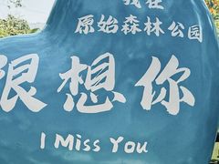 -西双版纳原始森林公园