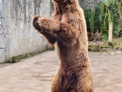 -贵州森林野生动物园