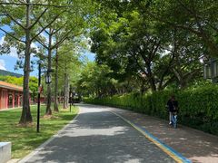 -顺峰山公园