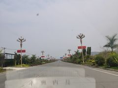 -打洛口岸