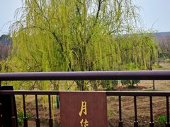-南湖湿地公园