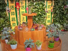 -北戴河集发农业梦想王国