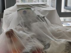 -绿色亿家除甲醛机构