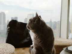 -Catmate·猫肥家润(金润铂宫店)