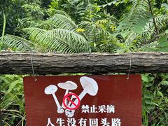 -马峦山郊野公园
