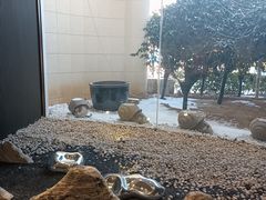 -味茂·老船夫1927(东海东路店)