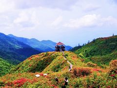 -大围山国家森林公园