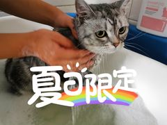 -心仪动物医院·牙专科·肿瘤·心脏科(西客站院)