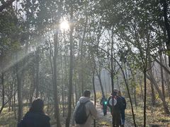 -紫金山山顶公园