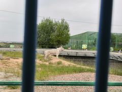 -鄂尔多斯野生动物园