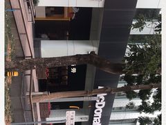 -麦当劳(华融店)