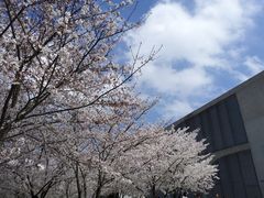 -龙美术馆(西岸馆)