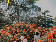 -国家植物园南园