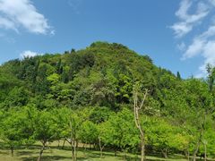 -贵阳市花溪国家城市湿地公园