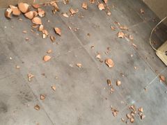 -巴人堂(女儿城店)