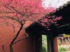 -钱王祠