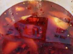 -晓彭肥肠鸡·泡椒鸡火锅(水木天地店)