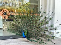 -西昌邛海宾馆