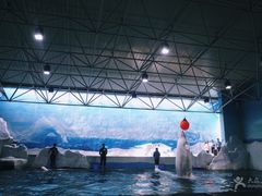 -秦皇岛乐岛海洋王国