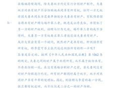 -上海领胜律师团队·法律咨询