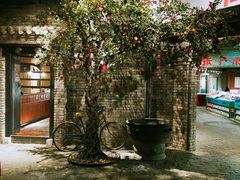 -和平菓局(王府井店)