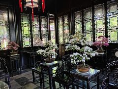 -上海醉白池公园