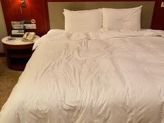 -东怡大酒店(上海科技馆店)