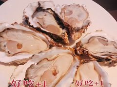 -千岛蚝高压锅生蚝·人参火锅(白云万达店)