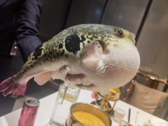 -鲐赏河豚(长寿店)