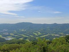 -大屏嶂森林公园