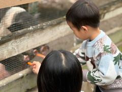 -广州锦绣香江度假别墅