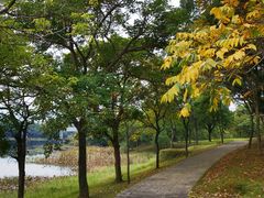 -福建鲤鱼洲酒店
