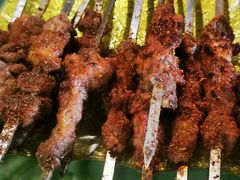 烤羊肉串-清真新疆叶尔羌烤肉店(新香洲店)