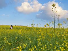 -光明小镇欢乐田园