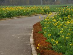 -中国天府农业博览园